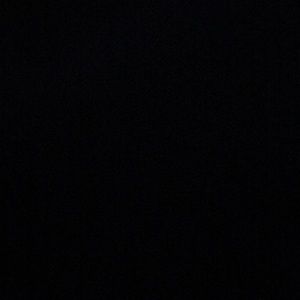 Meet your Posher, Cheyenne